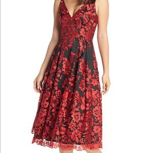 Eliza J Lace Fit & Flare Dress